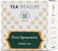 TeaTreasure Organic Spearmint Tea - 10 Pyramid Tea Bags Herbal Tea Box  (10 Bags)