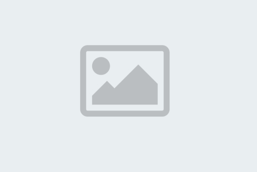 OneXone 10 Inch 1540 Pcs Sticker In 10 Page Self Adhesive Sticker  (Pack Of 10)